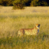 gallery-img4_1.JPG