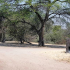 kumaga campsite_1.JPG