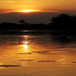 okavango-delta-safari-5b_1.JPG